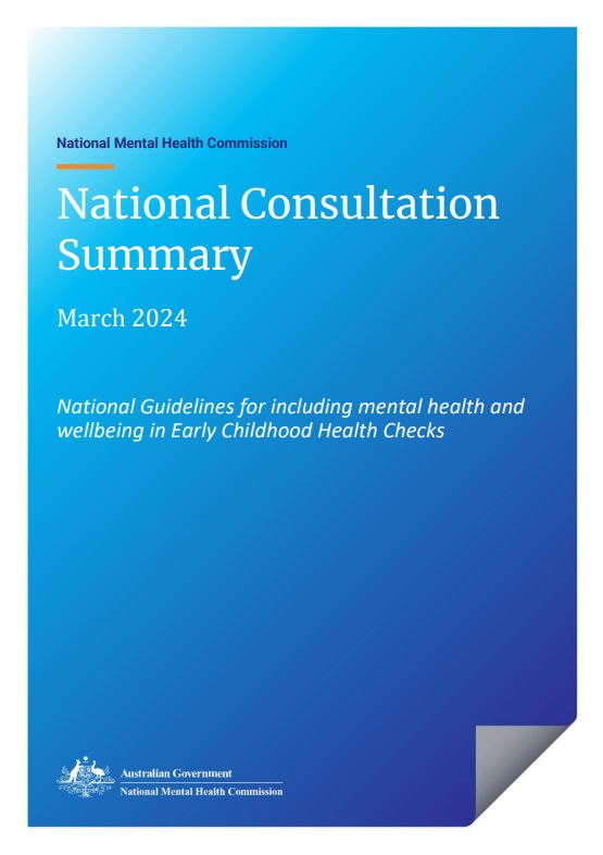 First page of consultation summary with blue background