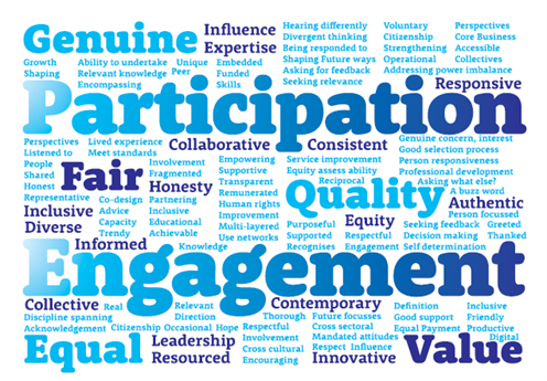 Consumer and Carer Participation and Engagement Word Cloud