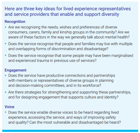 Here are three key ideas for lived experience representatives and service providers that enable and support diversity