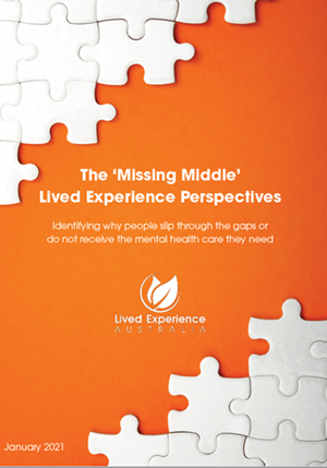 New Report on Lived Experience Perspectives