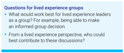 Questions for lived experience groups