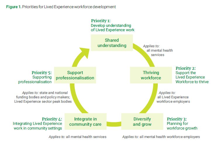 1. Priorities for Lived Experience workforce development