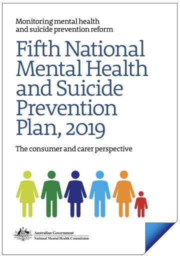 Fifth National Mental Health and Suicide Prevention Plan, 2019, The consumer and carer perspective