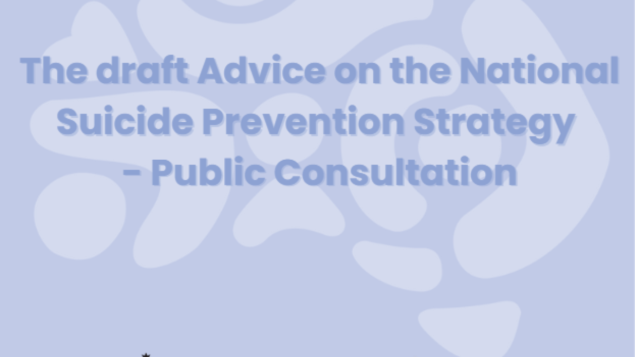 The draft Advice on the National Suicide Prevention Strategy